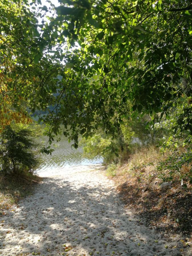 Villa Eden Ślesin Εξωτερικό φωτογραφία