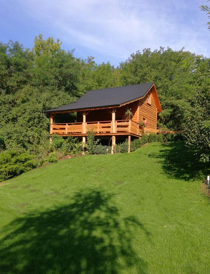 Villa Eden Ślesin Εξωτερικό φωτογραφία