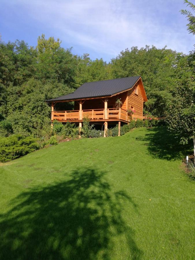 Villa Eden Ślesin Εξωτερικό φωτογραφία